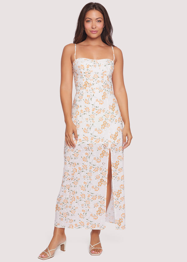 Acropolis Hills Maxi Dress