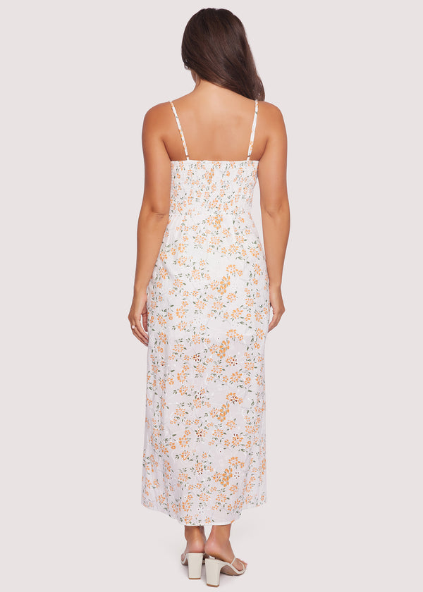 Acropolis Hills Maxi Dress